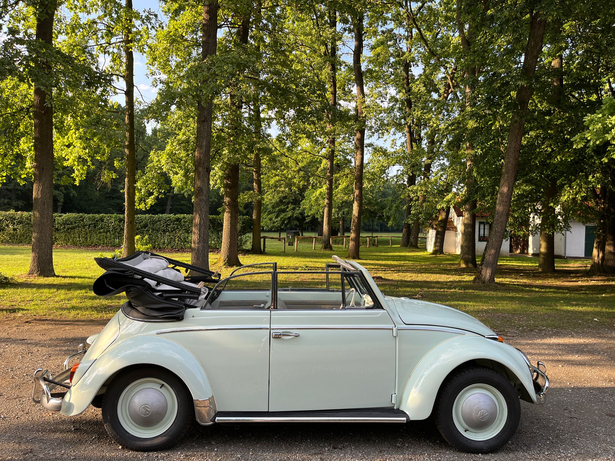 VW Käfer Cabrio